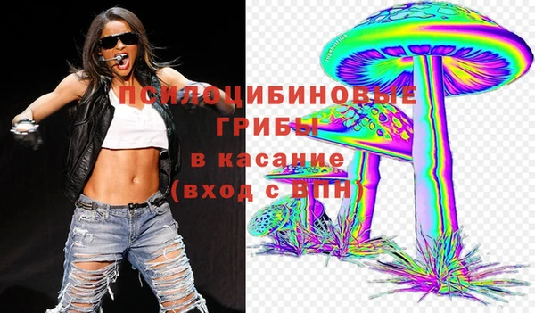 эйфоретик Алзамай